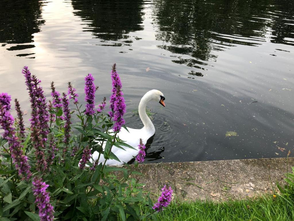 Cozy Double Bedroom In Stunning Bungalow On River Thames - Near Thorpe Park/Royal Holloway University/20Mins From Heathrow Staines-upon-Thames Exteriör bild