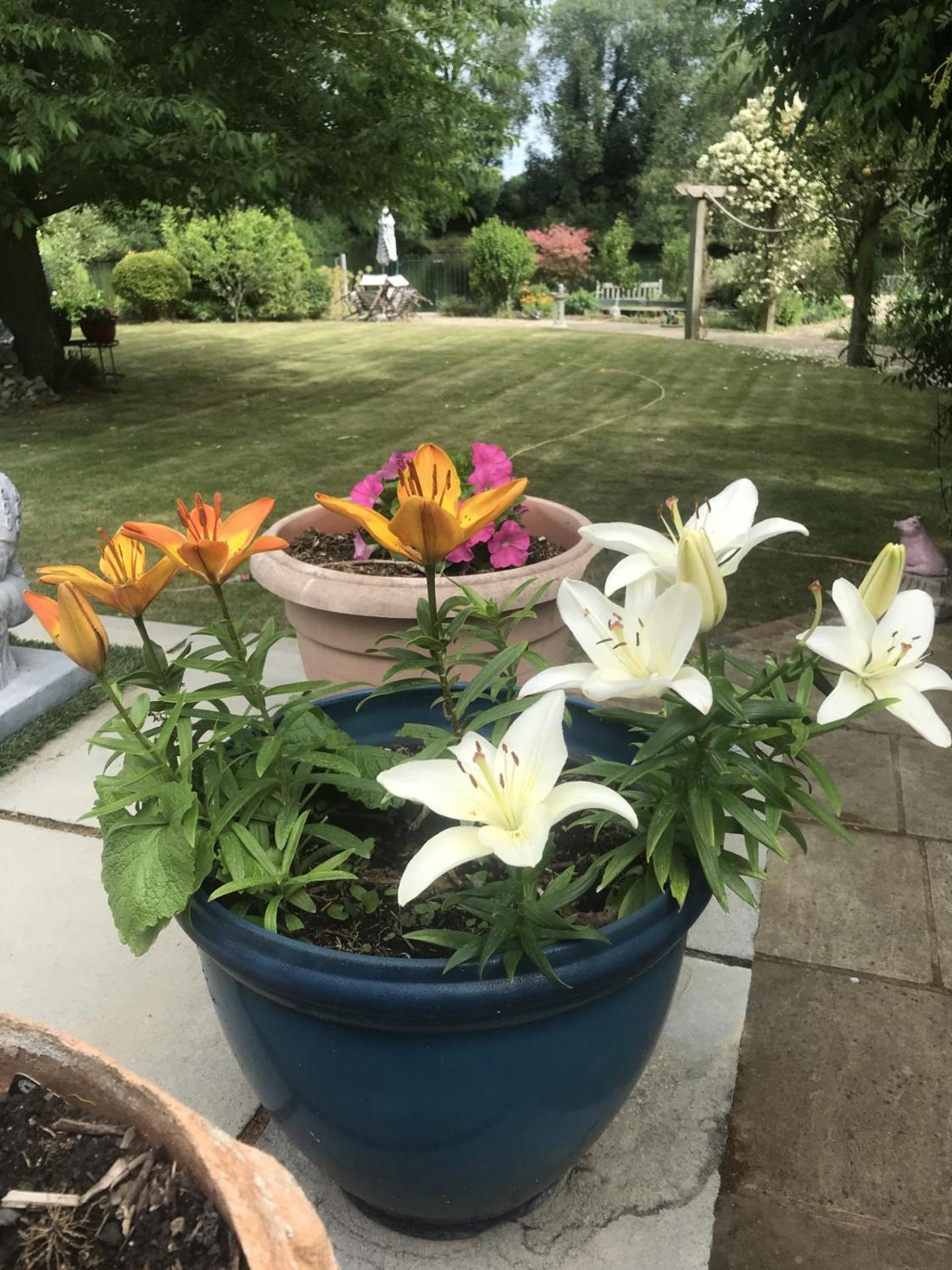 Cozy Double Bedroom In Stunning Bungalow On River Thames - Near Thorpe Park/Royal Holloway University/20Mins From Heathrow Staines-upon-Thames Exteriör bild